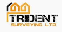 Trident Surveying Ltd 746238 Image 1